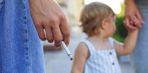 Active Pharmaceutical Ingredient (API)